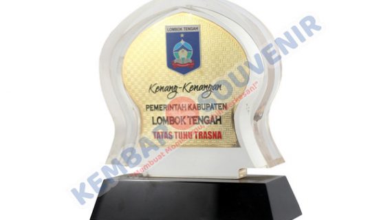Plakat Piagam Penghargaan DPRD Kabupaten Mamberamo Raya