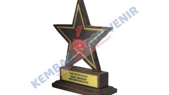 Plakat Award Akademi Keperawatan Kesdam Iskandar Muda Lhokseumawe