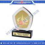 Trophy Acrylic Pemerintah Kabupaten Sumba Timur